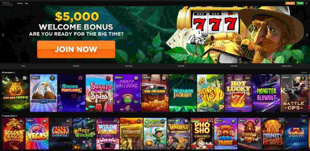 Screenshot of the WildCasino.ag homepage